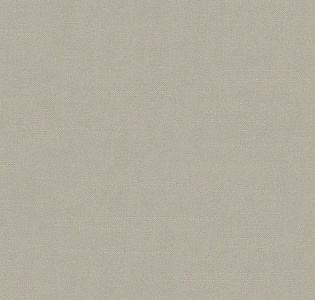 Alpine Walls Art of colors CEL21 008/1 для спальни для гостиной для кабинета для загородного дома для комнаты для прихожей серый светло-серый